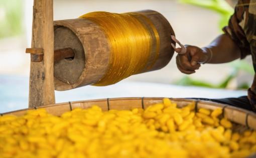 Bhagalpur Silk Industry